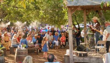 Top Texas getaway ideas for October: Music fests & art fairs
