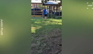 Texas Man Discovers Deer Trapped Outside His Home