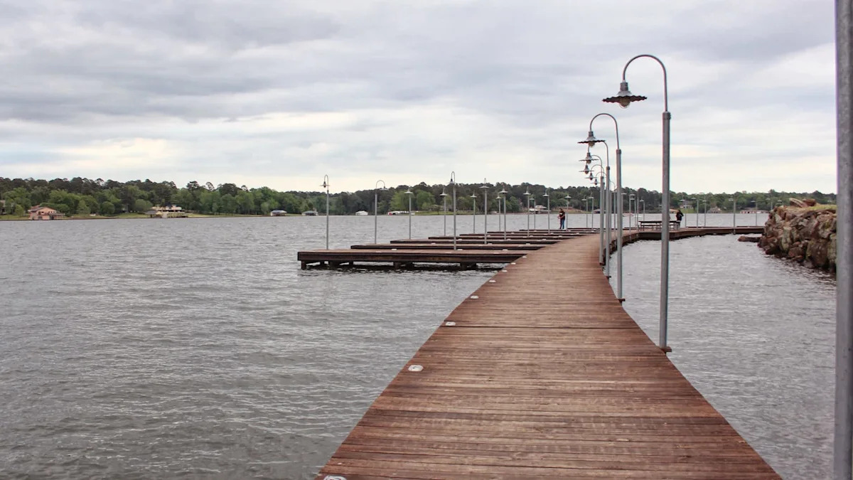 Sinkholes at a dam supplying half of Texas city's water prompt a full risk review