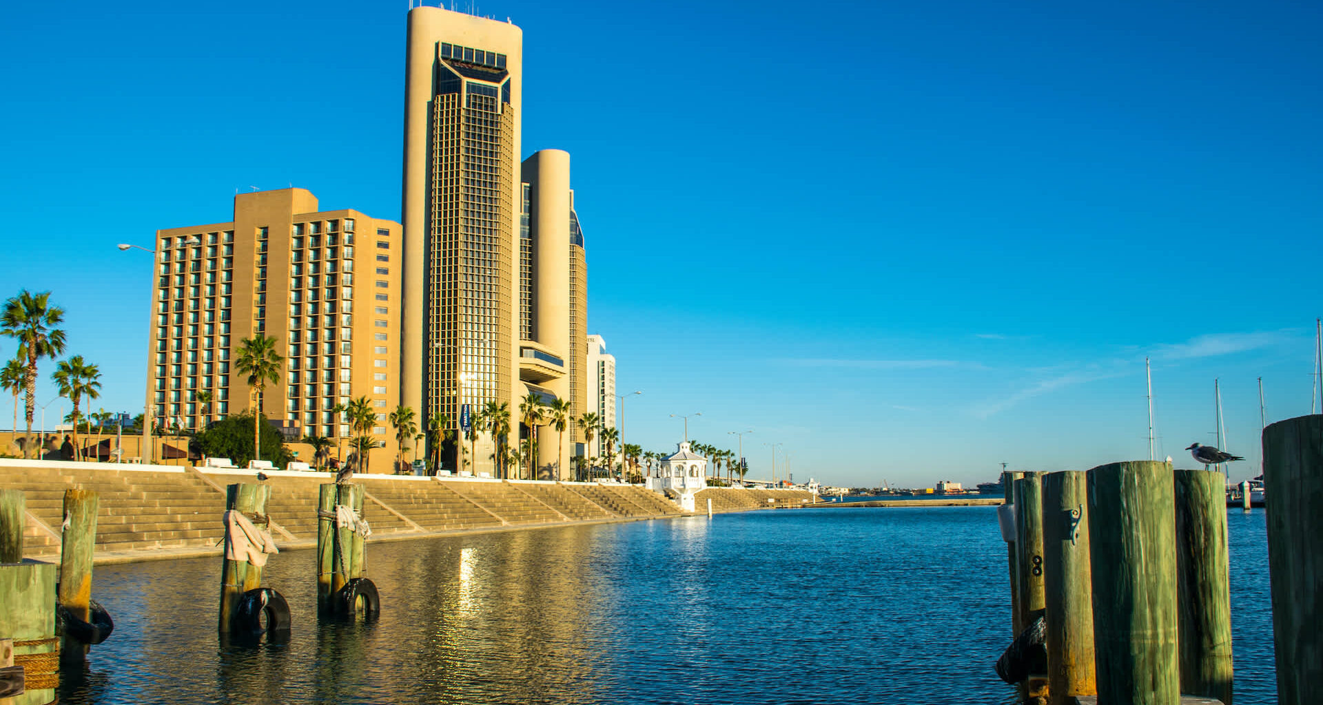 A waterfront view featuring tall buildings and palm trees, with boats in the background.