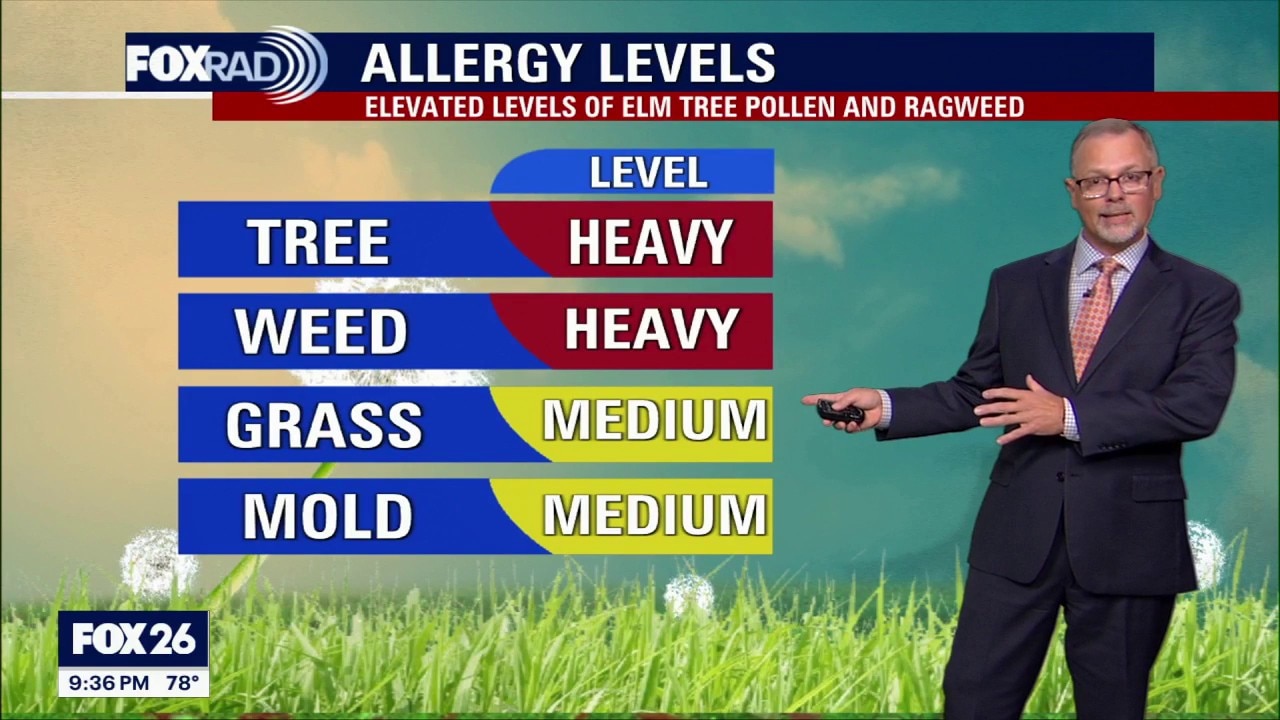 Houston weather: October 11 overnight forecast