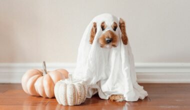 Smart Ways To Ensure A Safe And Fun Halloween Night In Lubbock