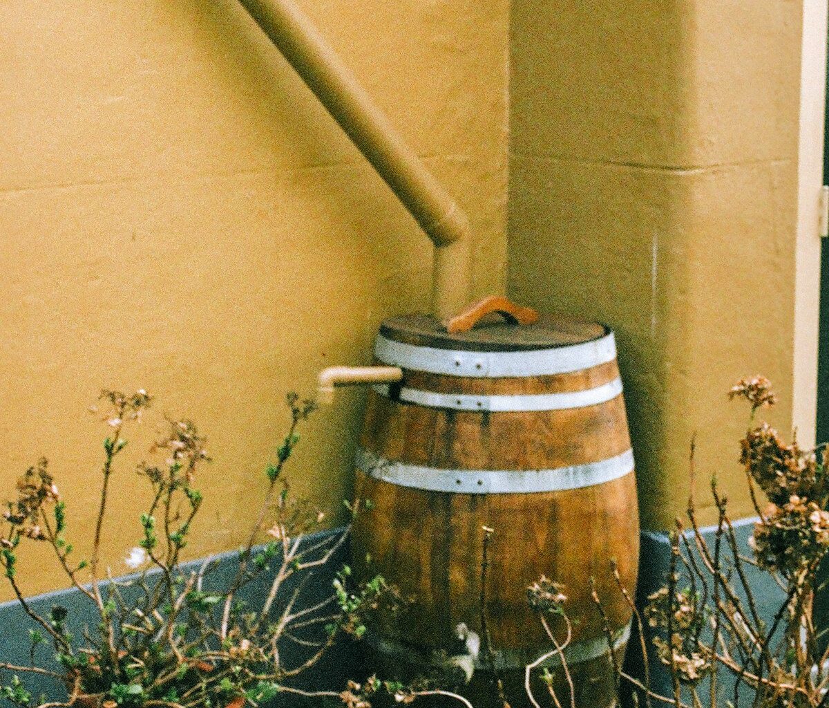 Is Rainwater Harvesting Legal In Texas? Lubbock DIY Guide