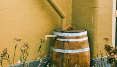 Is Rainwater Harvesting Legal In Texas? Lubbock DIY Guide