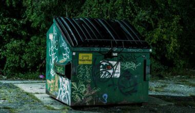 Is Dumpster Diving Illegal in Lubbock, Texas?