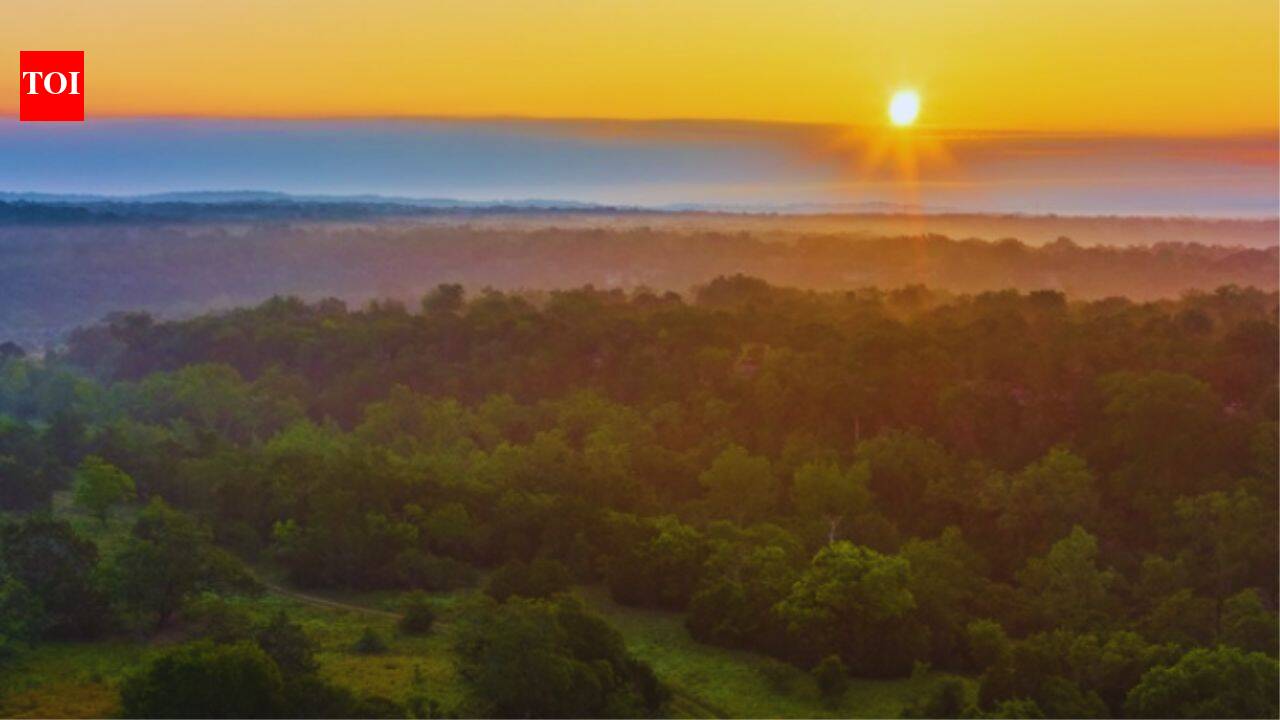 In 1938, a Texas family bought a ranch near Austin; 87 years later, a 202-acre conservation deal added protection to a 6,600-acre landscape that holds 10% of the Barton Creek watershed