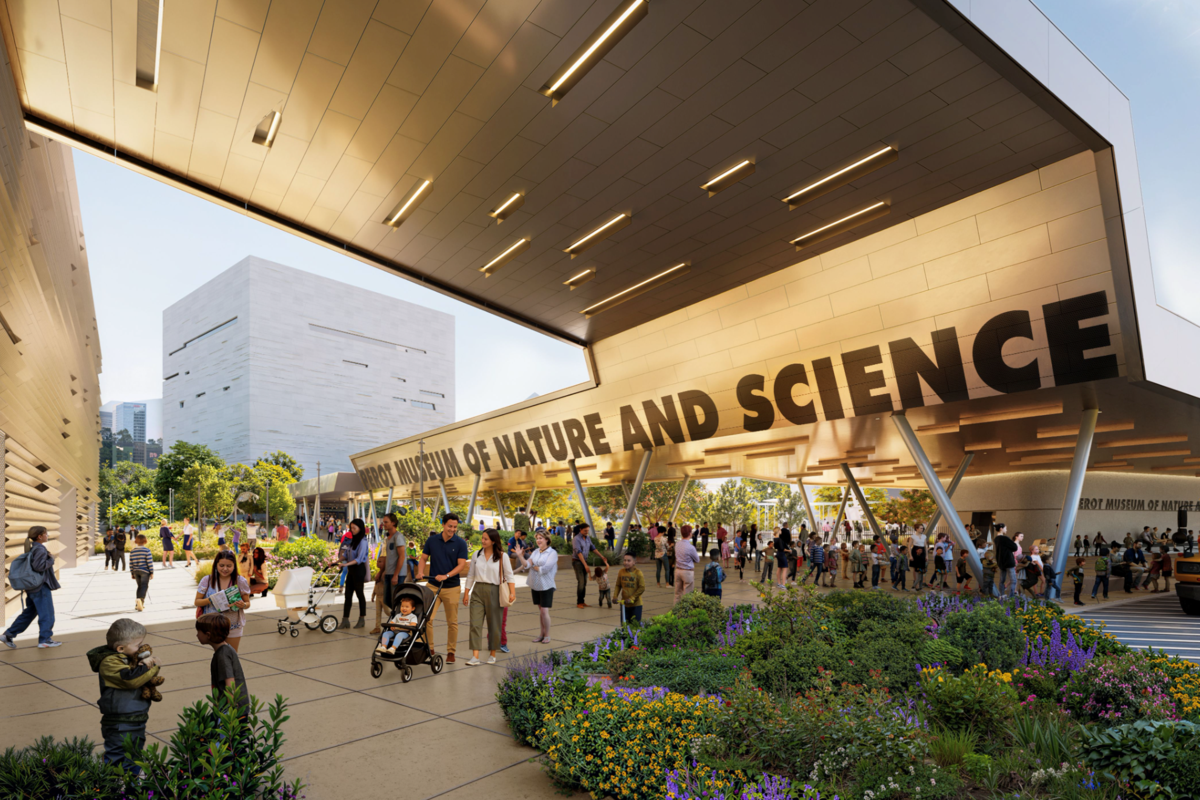 Perot Museum Of Nature And Science Unveils $185 Million Expansion - Local Profile