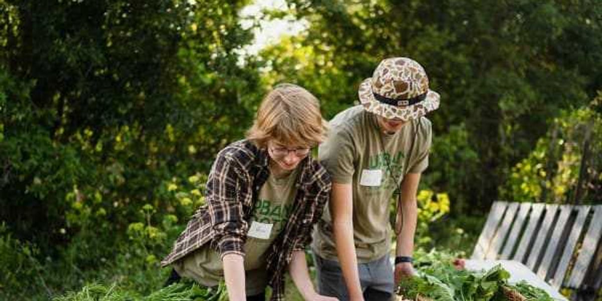 Austin food news: New oyster house and farm harvest cook-off