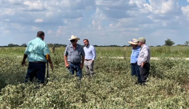 State rep tours pipeline right-of-way, calls for fix before next session