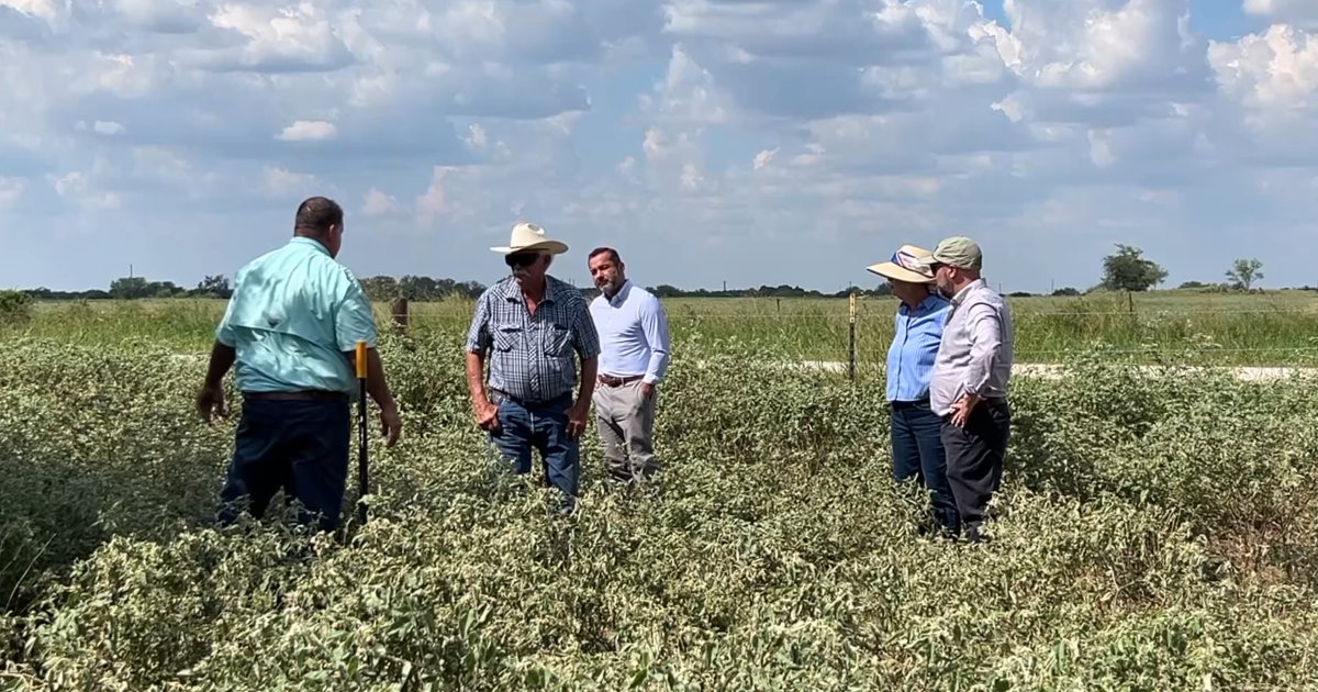 State rep tours pipeline right-of-way, calls for fix before next session