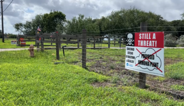 TCEQ holds hearing on proposed Nueces Green Ammonia plant near Robstown