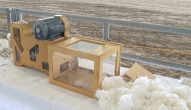 Fourth graders learn farming firsthand at San Patricio County Fairgrounds