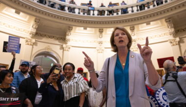 Democrat Vikki Goodwin hopeful in race against Dan Patrick