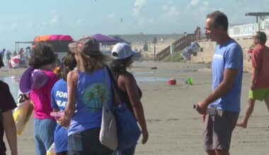 Beachcombing event at Whitecap Beach educates community on marine life