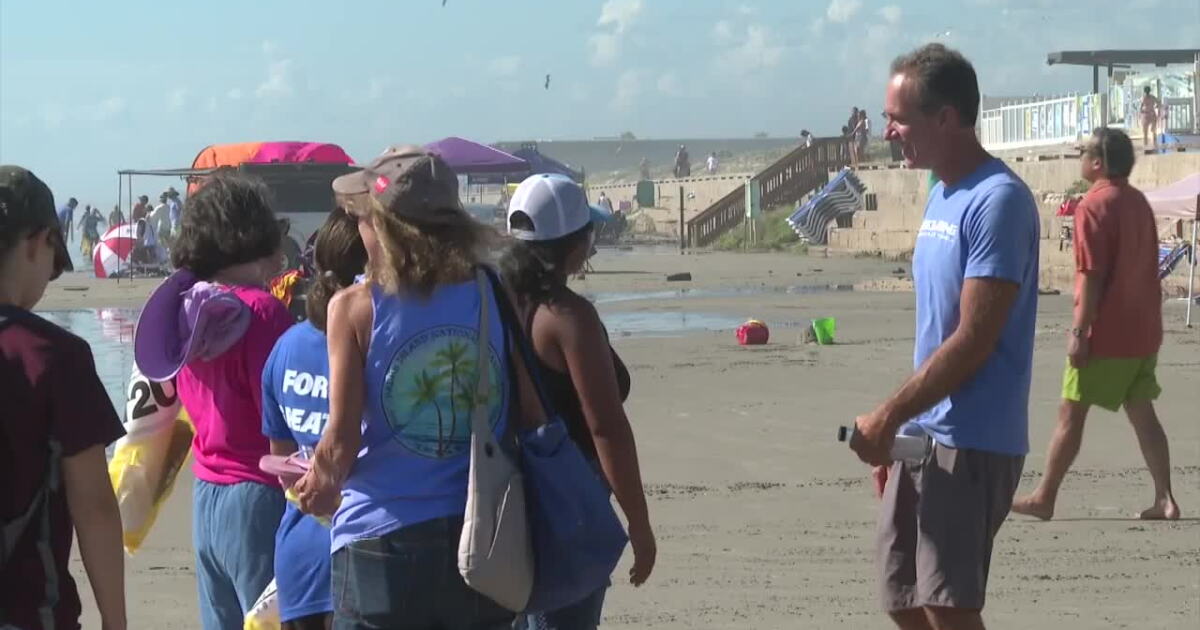 Beachcombing event at Whitecap Beach educates community on marine life