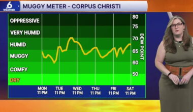 THIS WEEK: Expect rising temps and humidity across the Coastal Bend