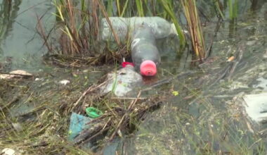 Packery Channel anglers speak out about trash left behind by fishermen