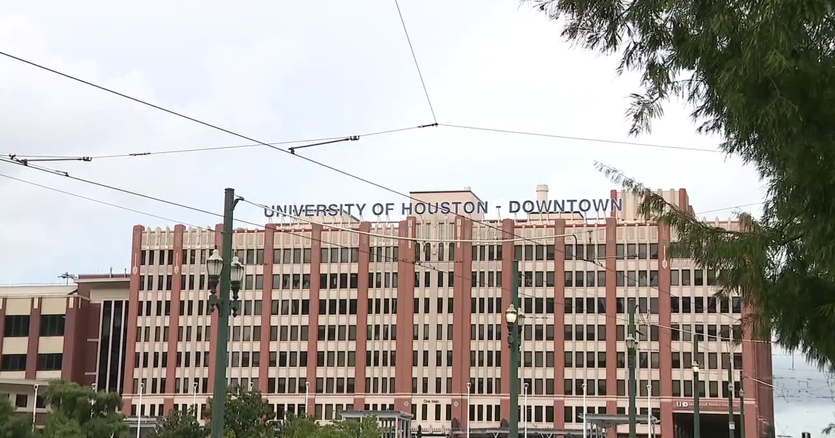 Senior at UH Downtown prevails after being accused of handing in assignments that were AI generated