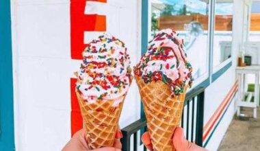 Zeds Real Fruit Ice Cream to make San Antonio debut