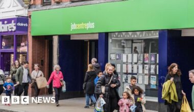 Government jobs support plans 'a mess', DWP officials tell BBC