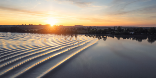 New Approach to Controlling Light Signals