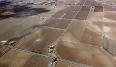 Agriculture land market remains resilient amid economic uncertainty