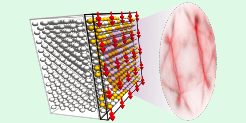 Half-Metals Enter Flatland