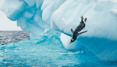 Slow internet speed on Linux? This 30-second fix makes all the difference