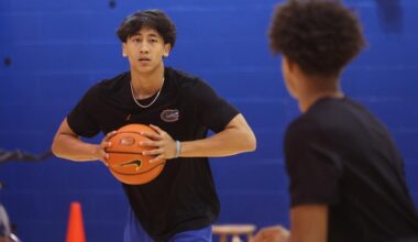 The Anatomy (and Numbers) of a Portal Pitch