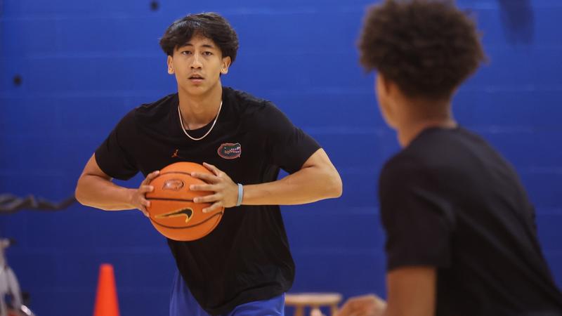 The Anatomy (and Numbers) of a Portal Pitch