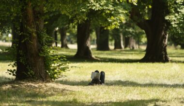 The Pleasures of Reading Outside