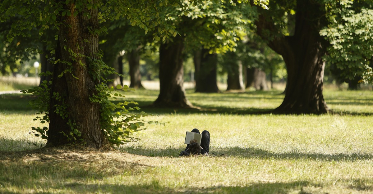 The Pleasures of Reading Outside
