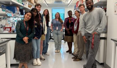 Hard-to-treat cancers respond to combination therapy using a new class of drugs | Virginia Tech News