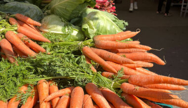 A place to connect: Weekly markets hum with conviviality, community