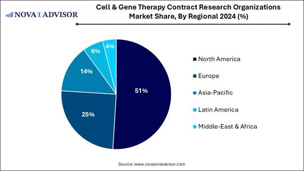 A blue pie chart with text
AI-generated content may be incorrect.