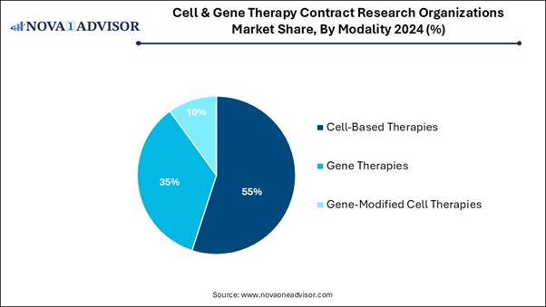 A blue pie chart with text
AI-generated content may be incorrect.