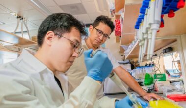 School of Medicine NIH Funds to Improve Genome Editing Tools