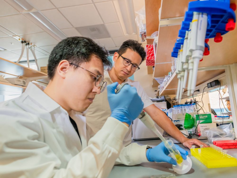 School of Medicine NIH Funds to Improve Genome Editing Tools