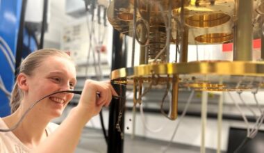 Hints of a 3D quantum spin liquid revealed by neutron scattering – Physics World