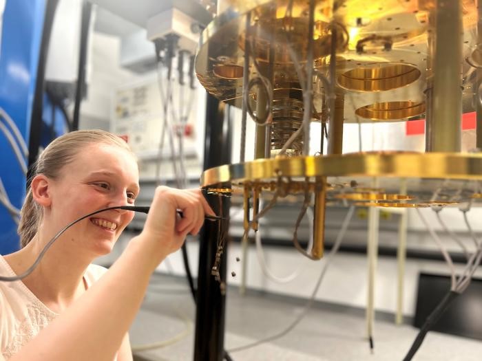 Hints of a 3D quantum spin liquid revealed by neutron scattering – Physics World