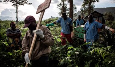 A deadly virus, sinister plots — and an original page-turning thriller