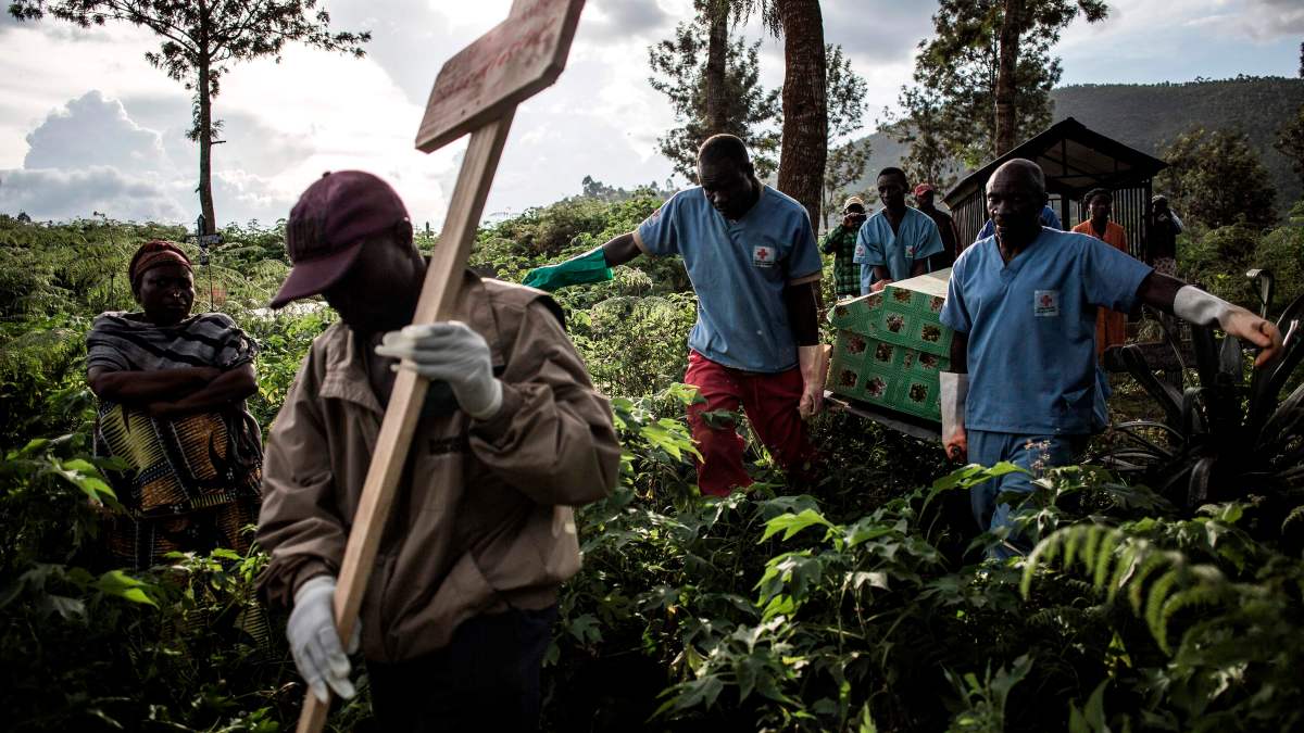 A deadly virus, sinister plots — and an original page-turning thriller