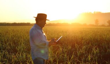 Farmer connectivity in Brazil improves