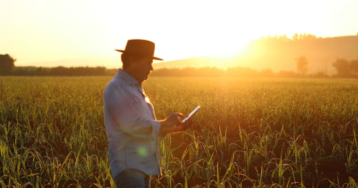 Farmer connectivity in Brazil improves