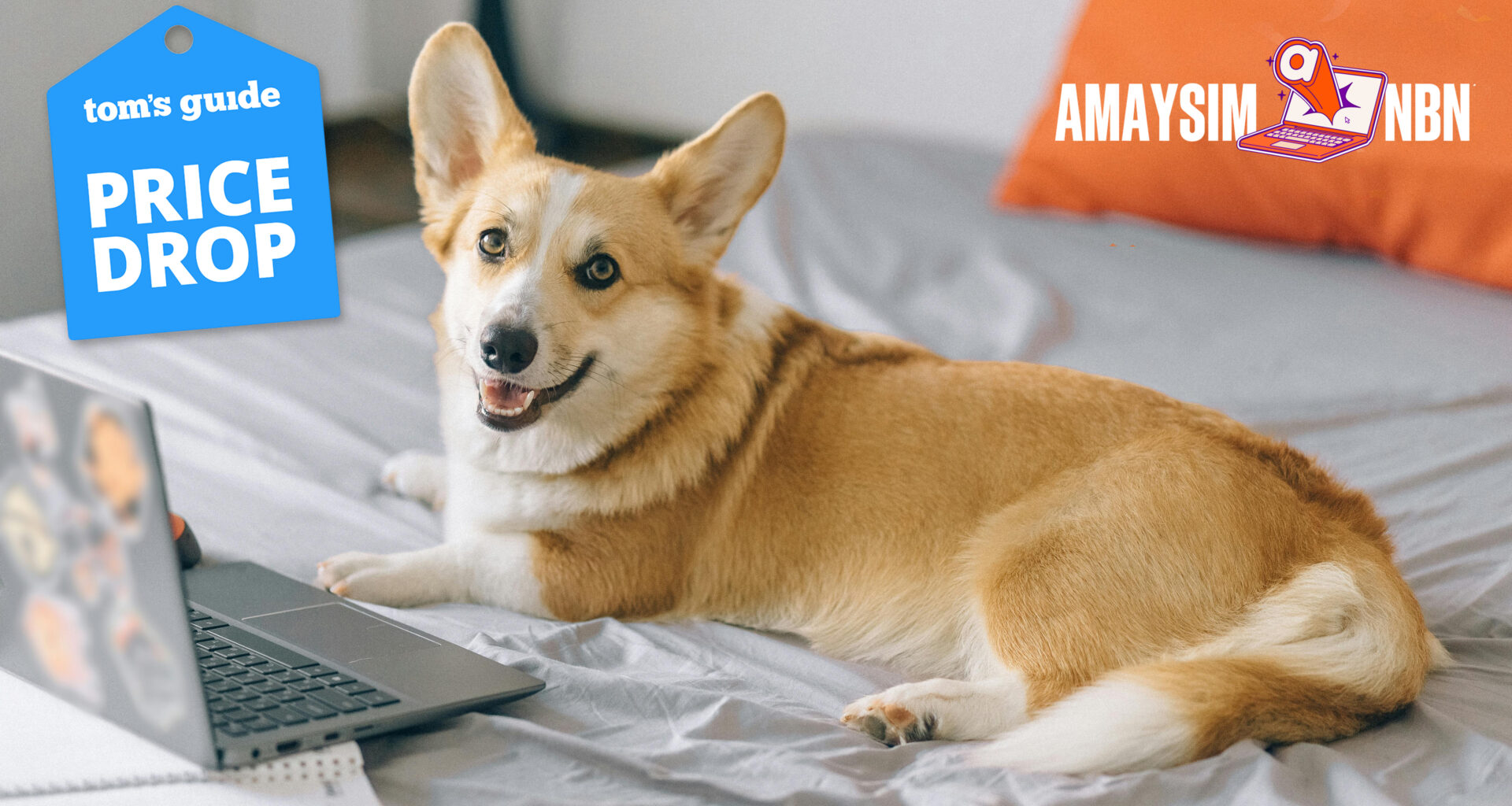 Amaysim logo with lifestyle image of corgi dog on bed with laptop and tom's guide deal badge