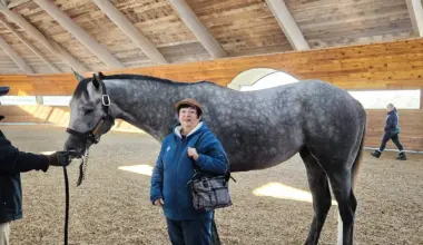 Racy story: Author mixes love of books and horse racing