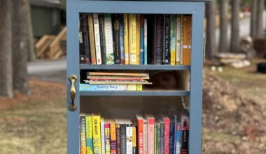 Little libraries, huge impacts: How Haywood folks are spreading books across the county | News