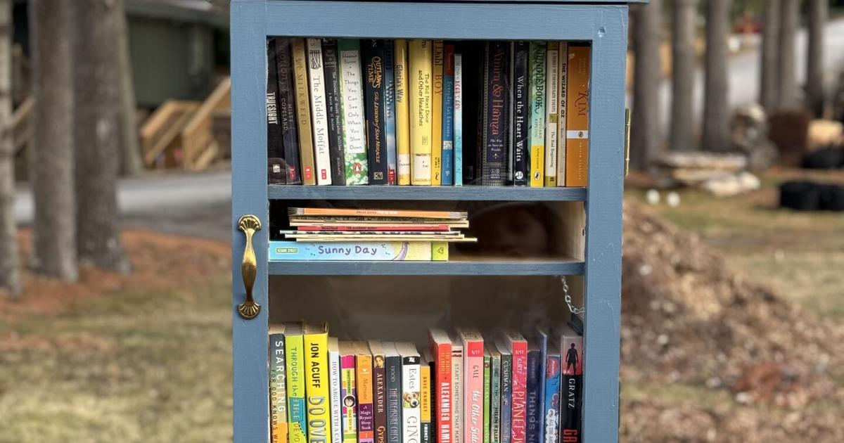 Little libraries, huge impacts: How Haywood folks are spreading books across the county | News