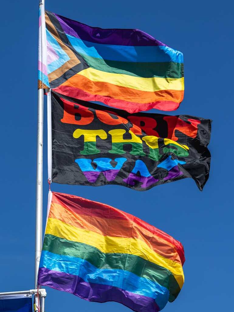 A booth selling pride flags flies a stack of flags with one that has “Born This Way” printed on it. The Eugene Pride Festival took place at Alton Baker Park in Eugene, Ore. on Saturday, Aug. 12th, 2023. (Molly McPherson/Emerald)