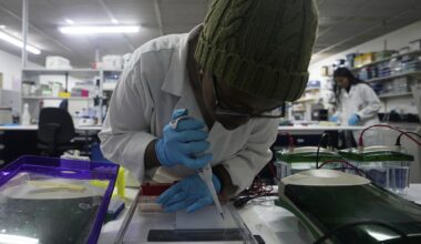 US aid cuts halt HIV vaccine research in South Africa, with global impact